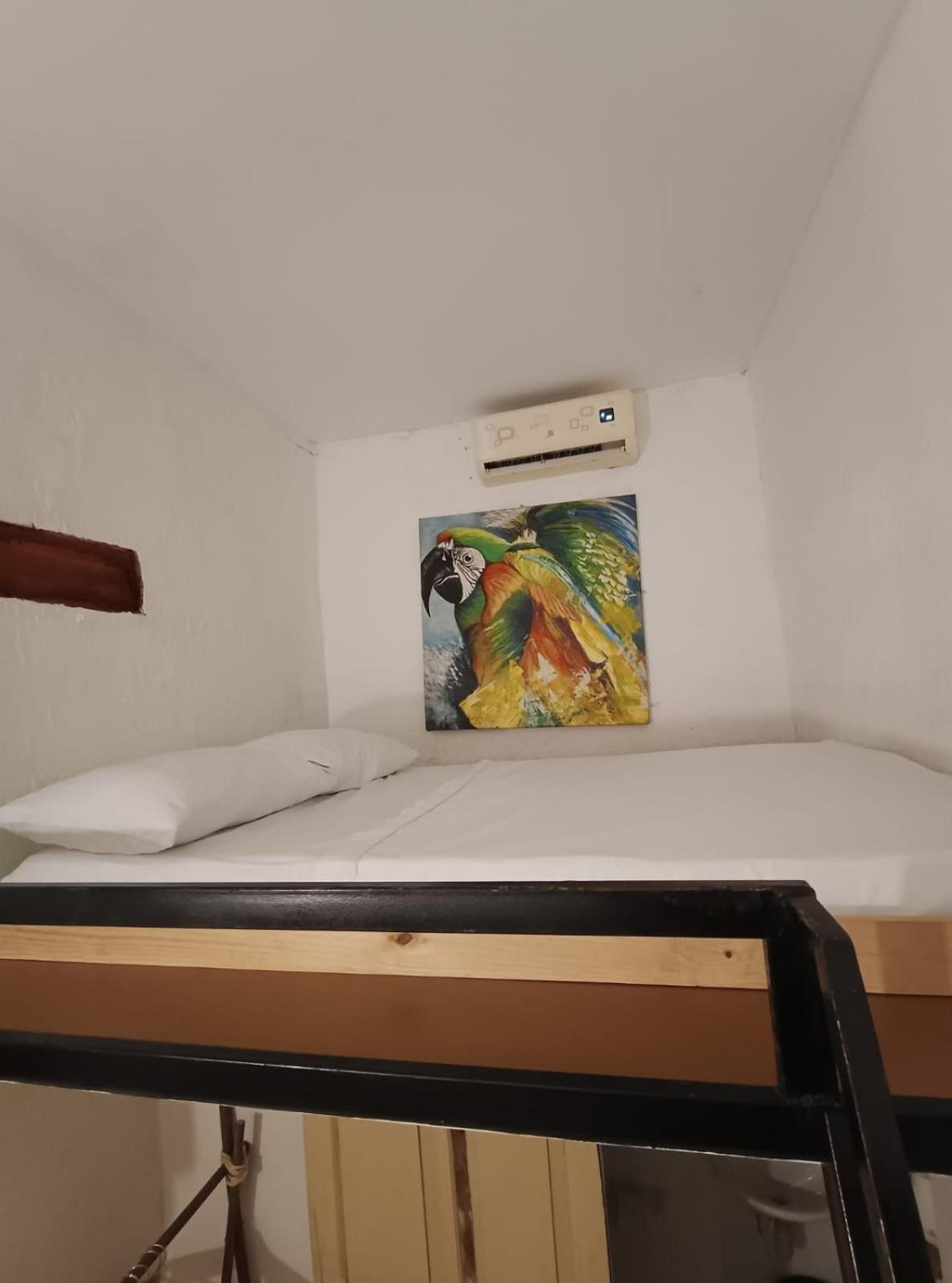 Lotus Central Hotel Санта-Марта Екстер'єр фото